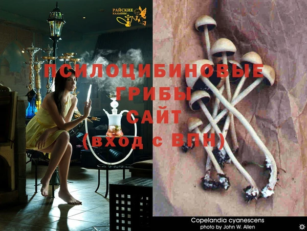 мет Балабаново